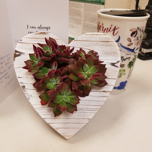 Meet your Posher, Odessa n ray - Picture 2 of 5